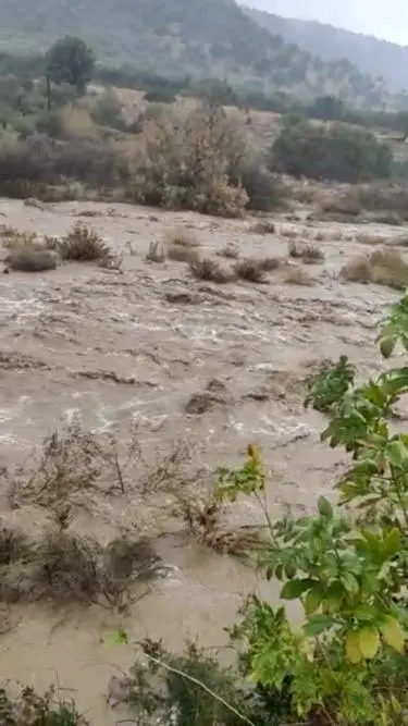 Maltempo, Statti, Zurlo e Granata: «Subito ristori per le zone colpite»
