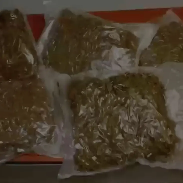 Operazione \"Salamandra\", arresti per droga e prostituzione tra Cosenza e Rende