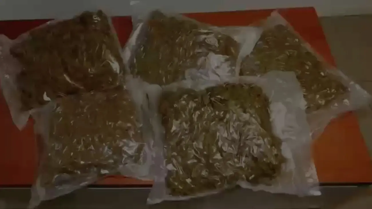 Operazione \"Salamandra\", arresti per droga e prostituzione tra Cosenza e Rende