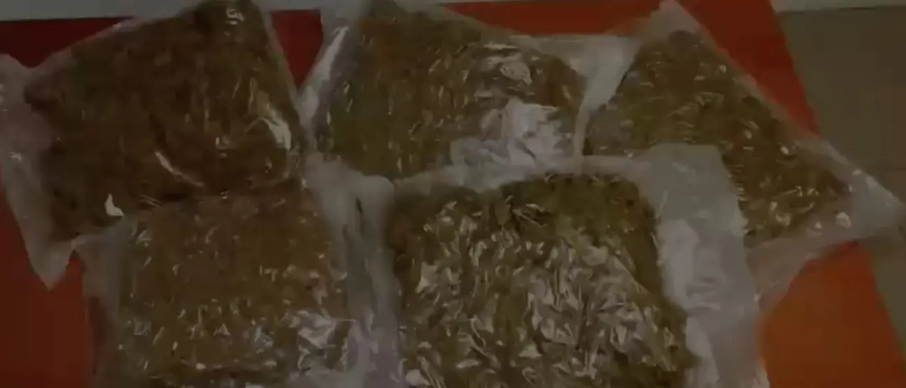 Operazione \"Salamandra\", arresti per droga e prostituzione tra Cosenza e Rende