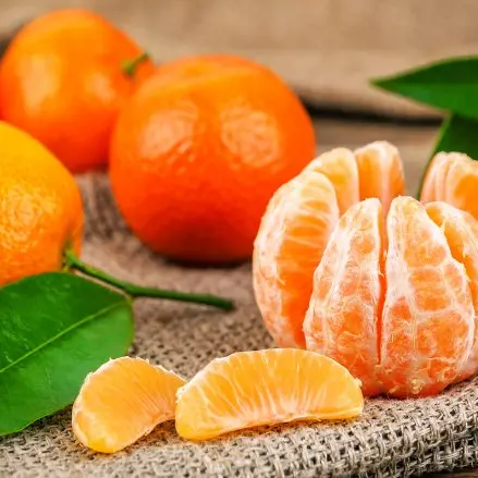 Clementine calabresi, Gallo: «Bene iniziativa Coop, è un esempio»