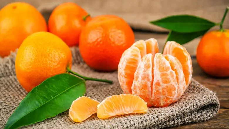 Clementine calabresi, Gallo: «Bene iniziativa Coop, è un esempio»