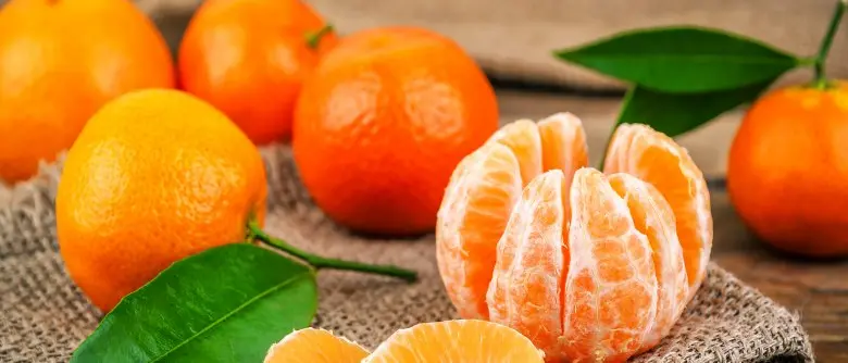 Clementine calabresi, Gallo: «Bene iniziativa Coop, è un esempio»