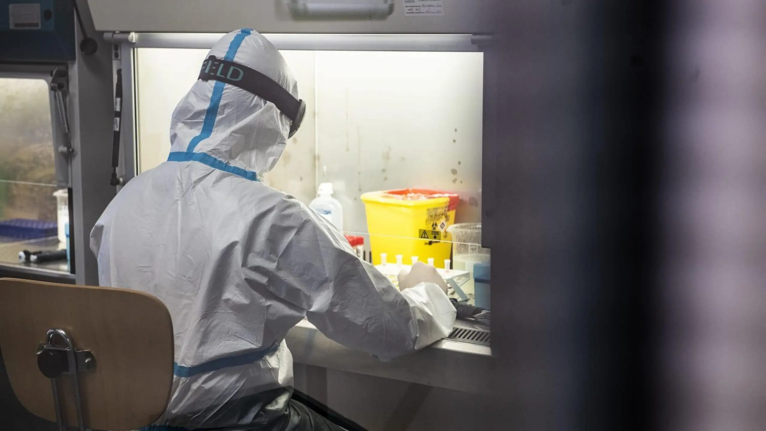 DIFESA: IL DIPARTIMENTO SCIENTIFICO MILITARE DEL CELIO HA SEQUENZIATO IL VIRUS DI UN SOGGETTO POSITIVO CON STESSA VARIANTE RISCONTRATA IN GRAN BRETAGNA