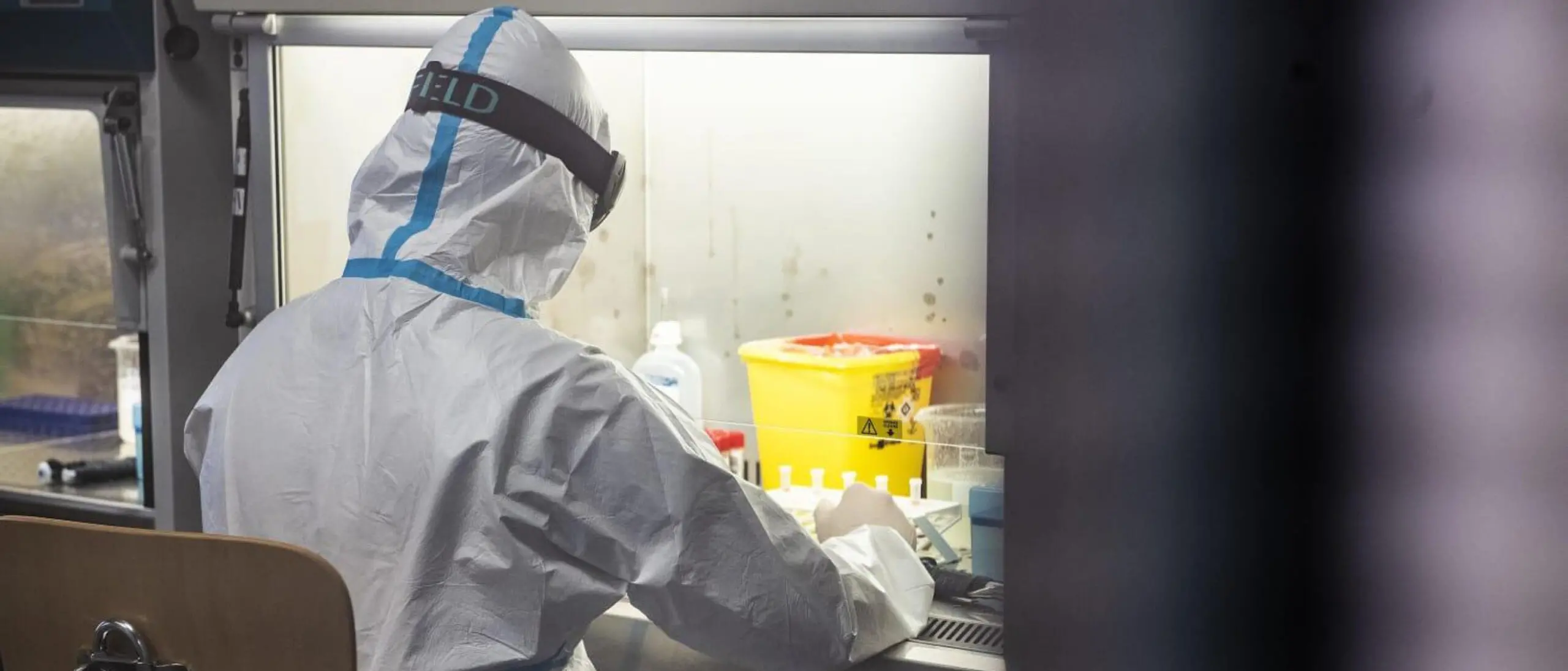 Variante Covid, un caso nelle Marche: nessun viaggio in Gran Bretagna