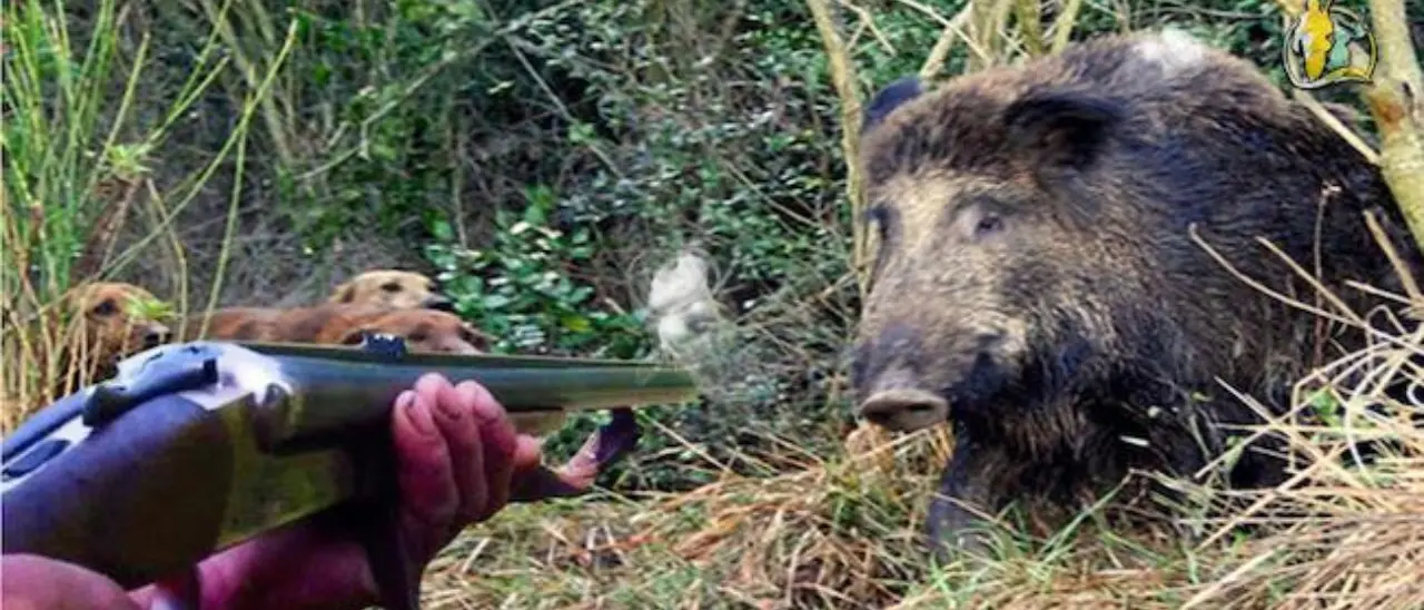 Ambiente, approvato il nuovo calendario venatorio 2020-2021