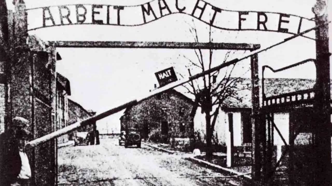 La memoria, l'ostinazione e i dannat