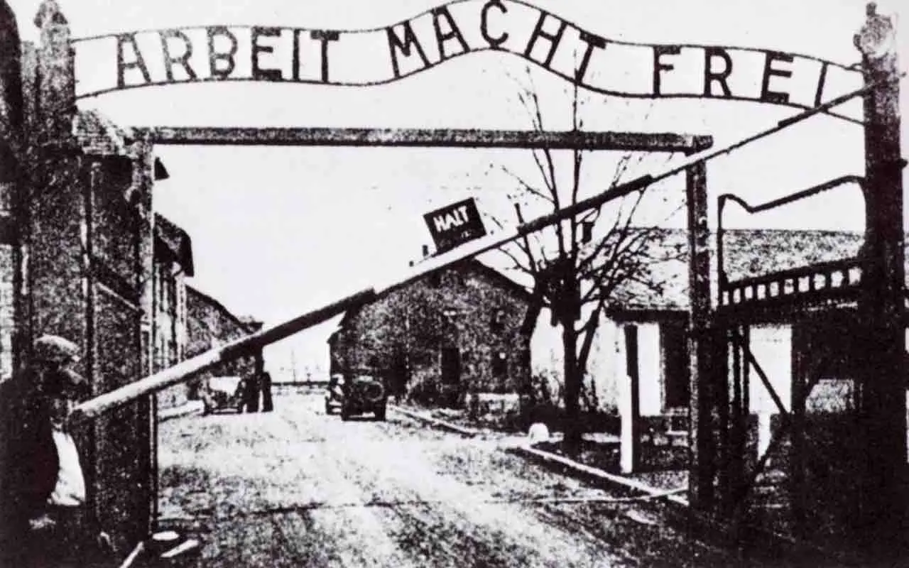 La memoria, l'ostinazione e i dannat