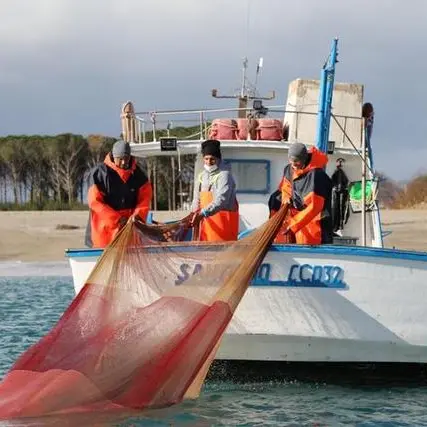 Fermo pesca anticipato al primo settembre, accolte le richieste di Calabria e Puglia