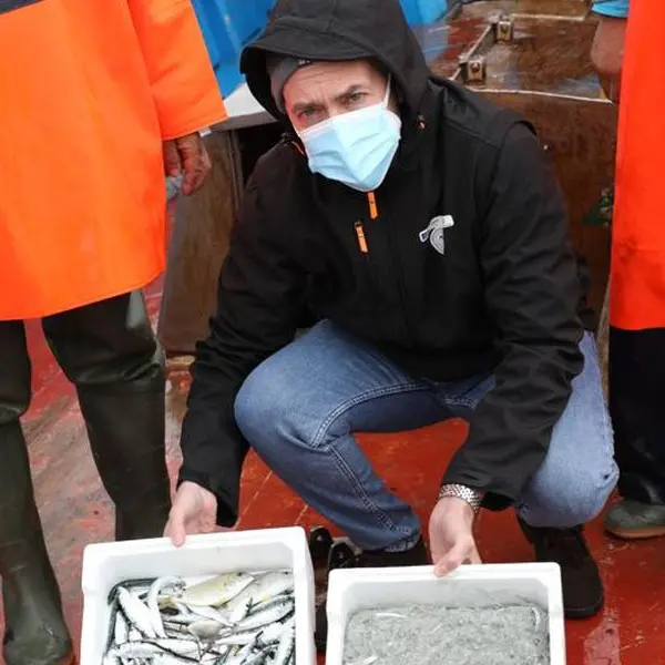 Pesca della sardella, la Regione dà il via alla campagna sperimentale