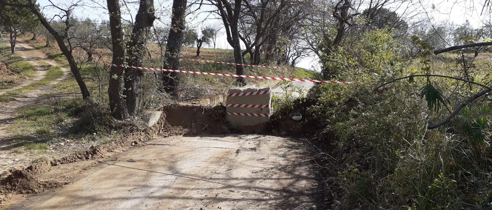 Terranova da Sibari, 50mila euro per i buoni spesa