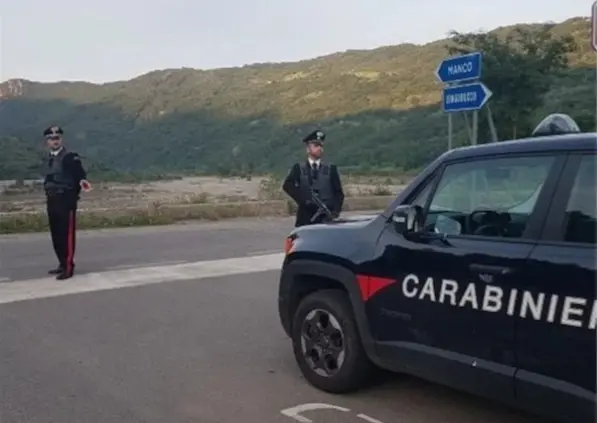 Cani avvelenati a Longobucco, i carabinieri denunciano due persone