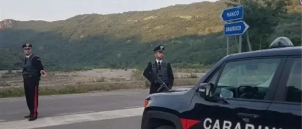 Cani avvelenati a Longobucco, i carabinieri denunciano due persone