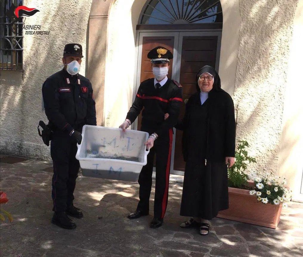 Acri, fermato con novellame in macchina