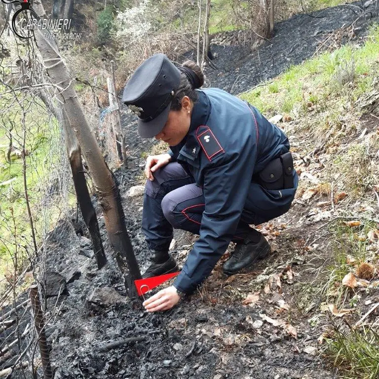 Incendio a Longobucco, denunciato il responsabile