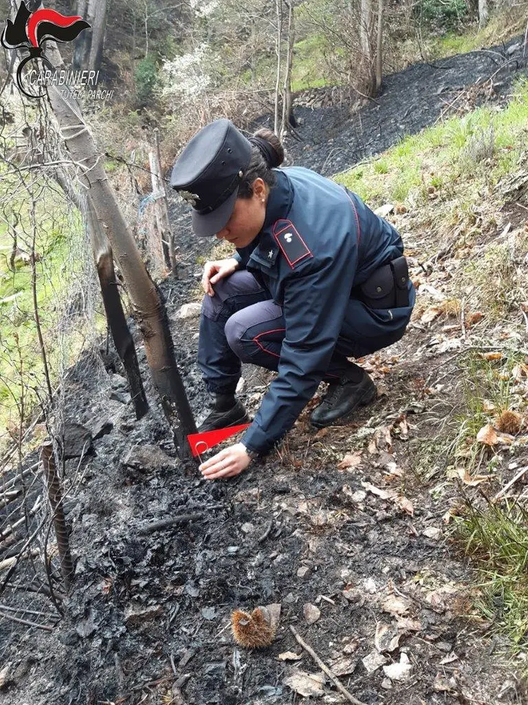 Incendio a Longobucco, denunciato il responsabile