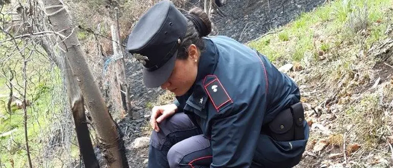 Incendio a Longobucco, denunciato il responsabile