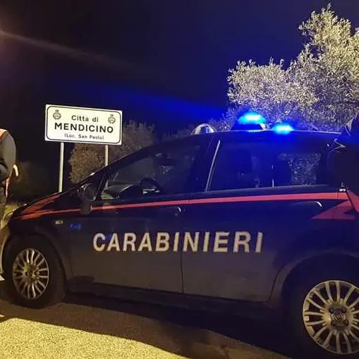 Erba e cocaina in casa. Carabinieri arrestano un 23enne a Mendicino