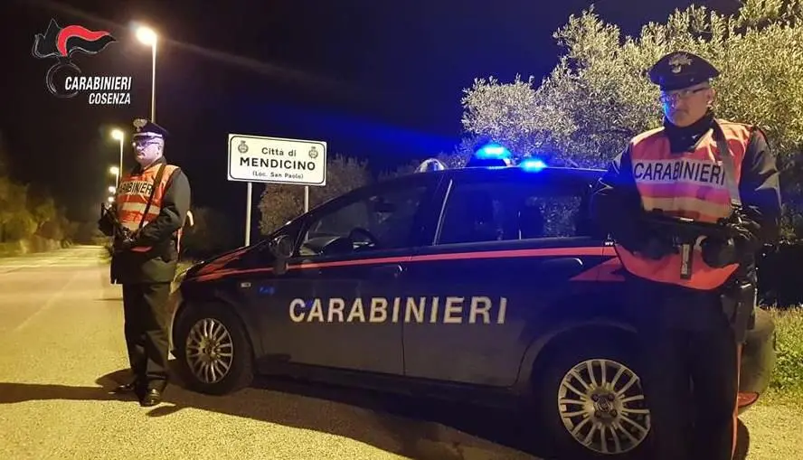 Erba e cocaina in casa. Carabinieri arrestano un 23enne a Mendicino