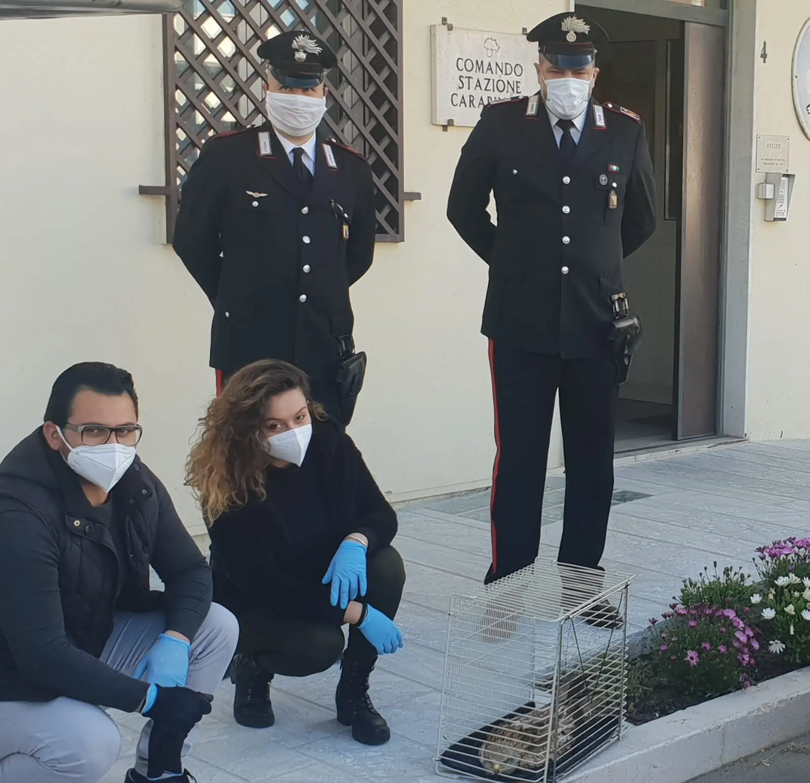 Carabinieri salvano un falco insieme al vice sindaco del comune di Canna