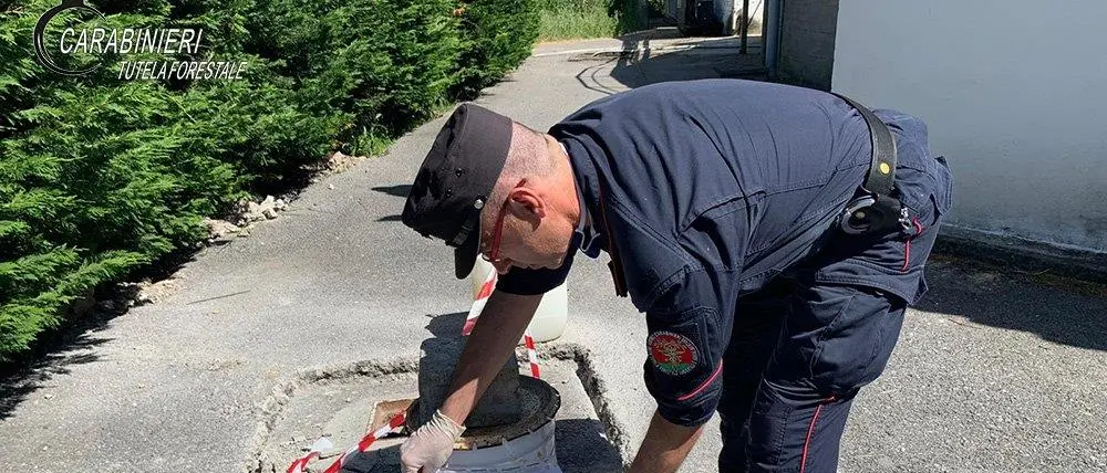 S.Nicola Arcella, posto sotto sequestro scarico depuratore comunale