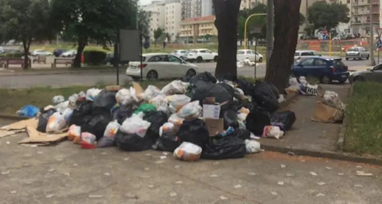 Rifiuti, Ambrogio: «Serve una svolta ecologica. Riciclare è la strada giusta»