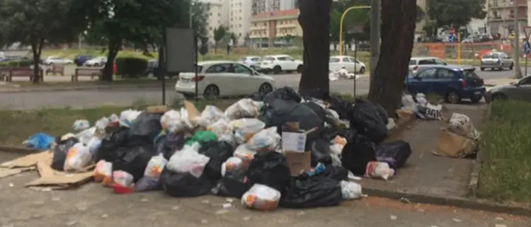 Rifiuti, Ambrogio: «Serve una svolta ecologica. Riciclare è la strada giusta»