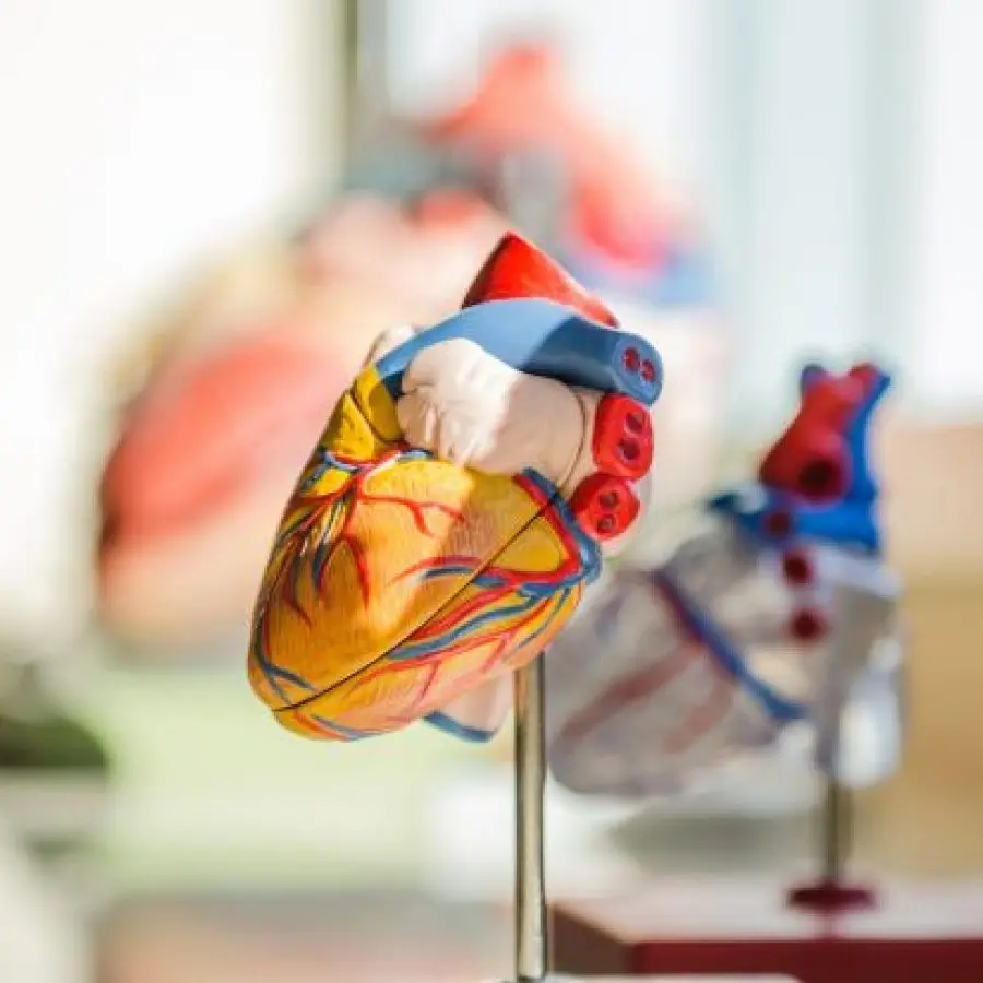 Svolta storica per la cura della stenosi aortica: cosa c'è da sapere