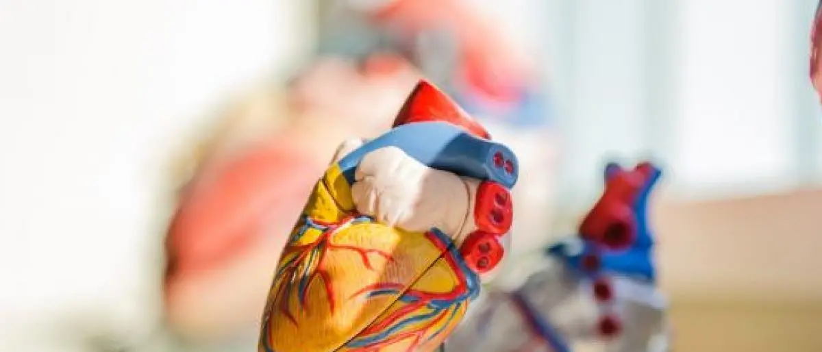 Svolta storica per la cura della stenosi aortica: cosa c'è da sapere