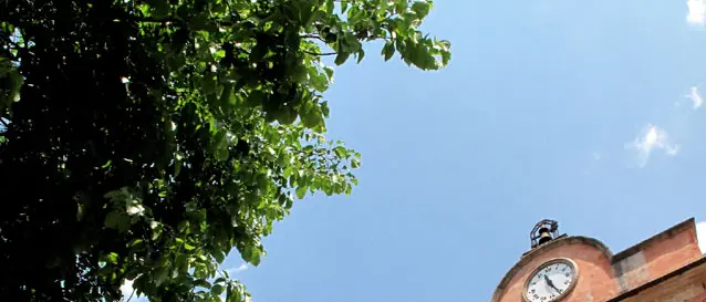 Musei, monumenti e aree archeologiche: altre aperture in Calabria