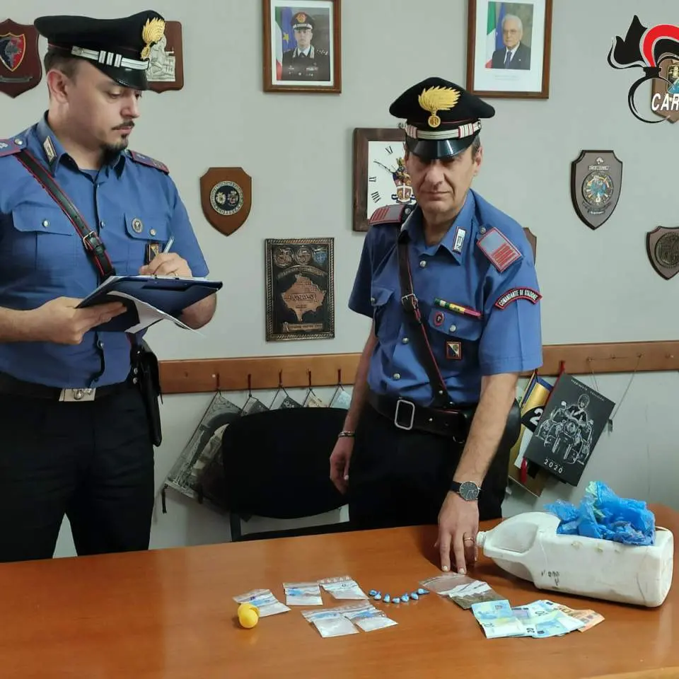 Belvedere Marittimo, nasconde la droga nella cuccia del cane: arrestato