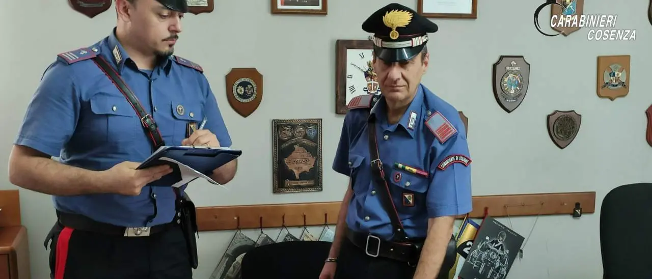 Belvedere Marittimo, nasconde la droga nella cuccia del cane: arrestato