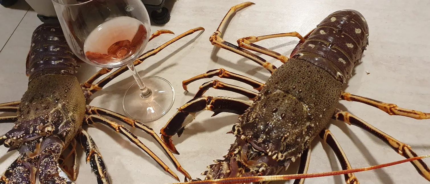Molinaro: \"La Calabria che non finisce di stupire, le aragoste nel mare di Amendolara\"