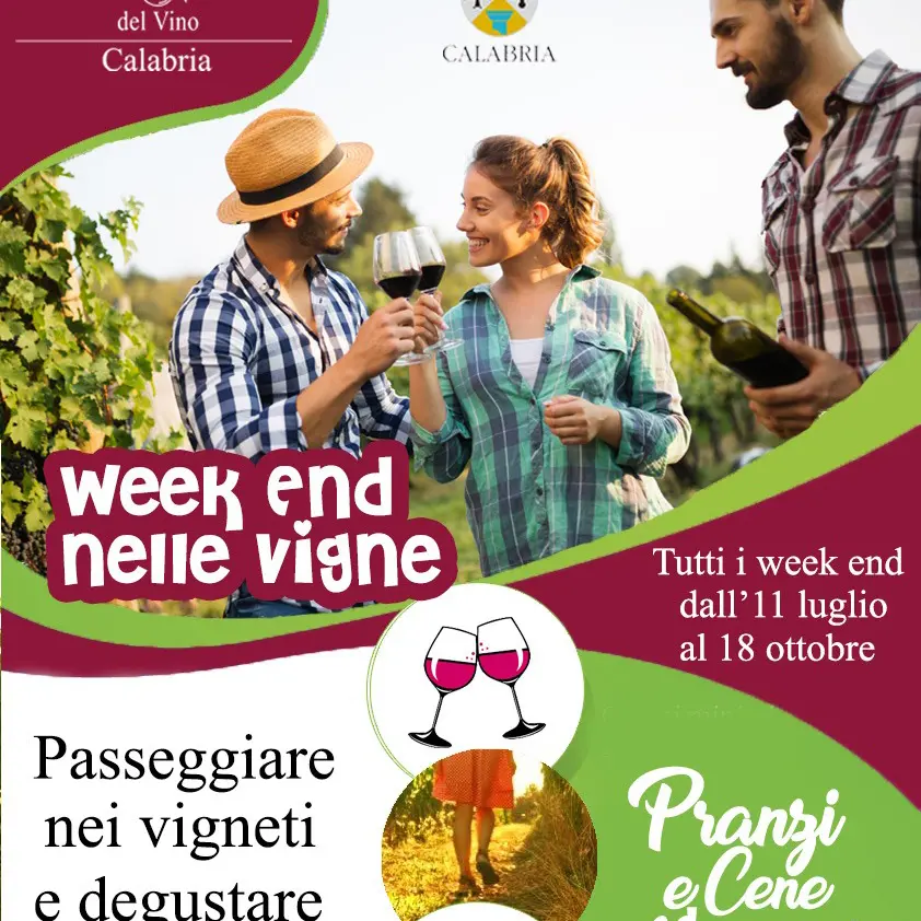Weekend nei vigneti: Mtv Calabria rilancia l'enoturismo