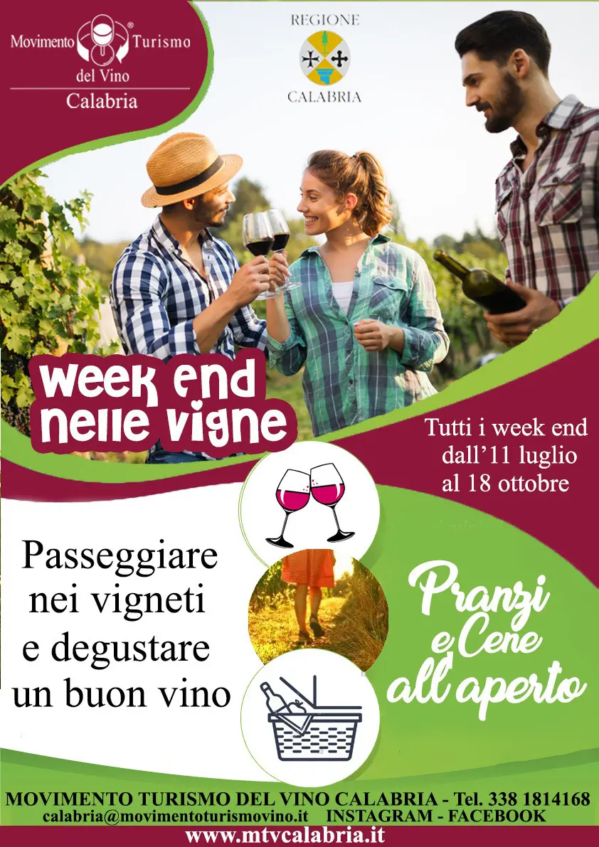 Weekend nei vigneti: Mtv Calabria rilancia l'enoturismo