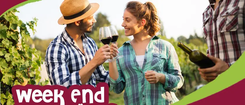 Weekend nei vigneti: Mtv Calabria rilancia l'enoturismo