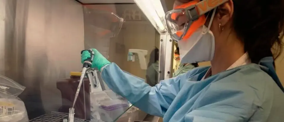 Covid a Cosenza, 1 positivo in più e 1 test incerto. Tra i 16 contagiati anche 5 minori