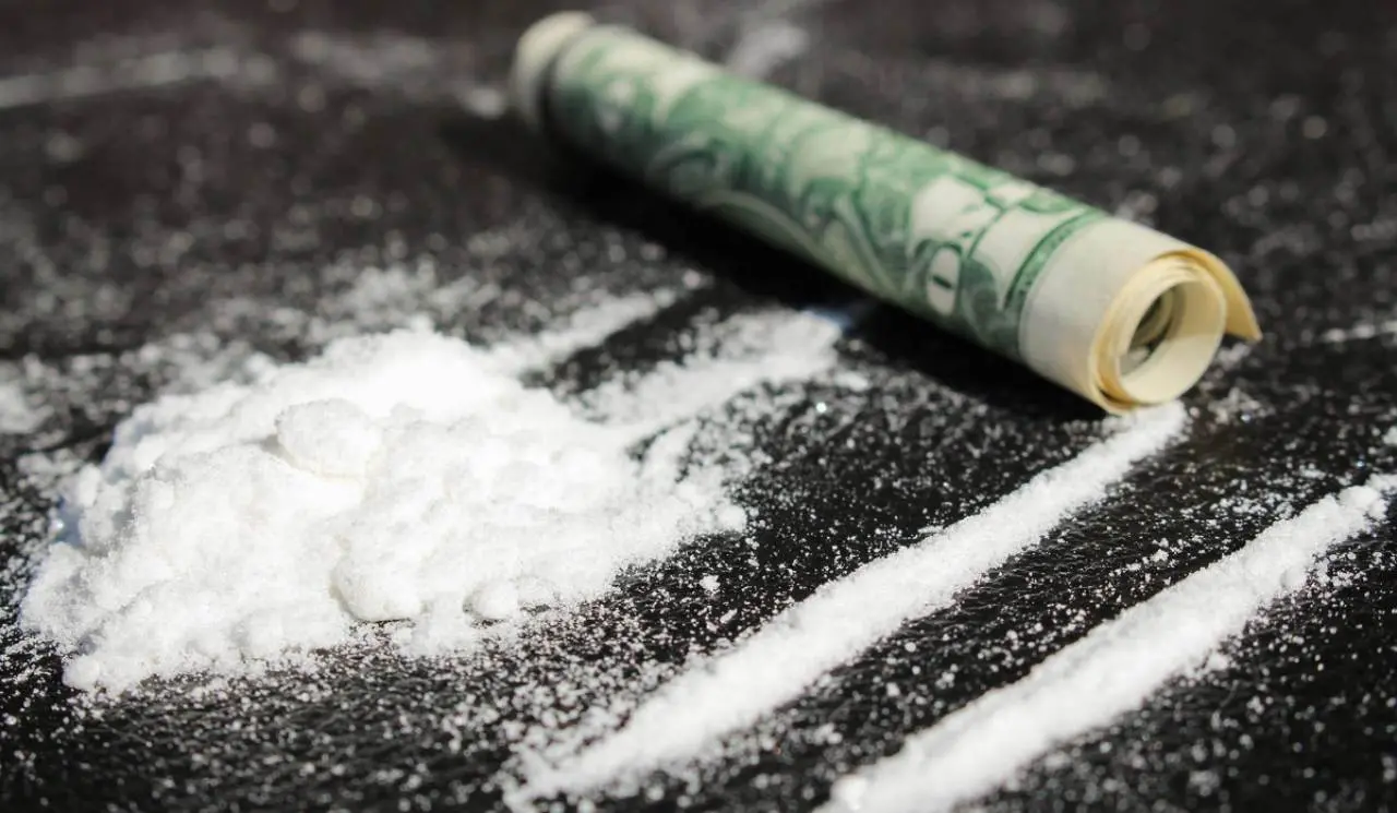 Gli affari tra la 'ndrangheta e i narcos sudamericani: tutti i dettagli