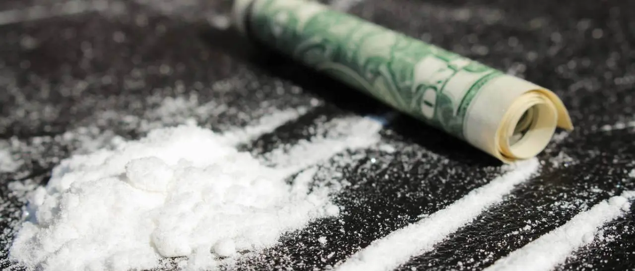 La droga da Cassano a Cosenza, Maestri e i verbali su Olibano e Pagliaro