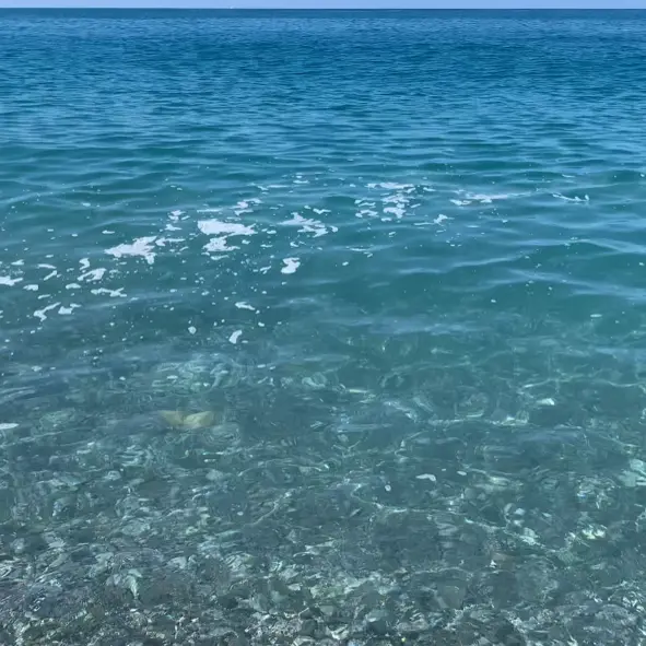 Fuscaldo, mare sporco, turisti inferociti. Oggi altri prelievi, parola all'Arpacal