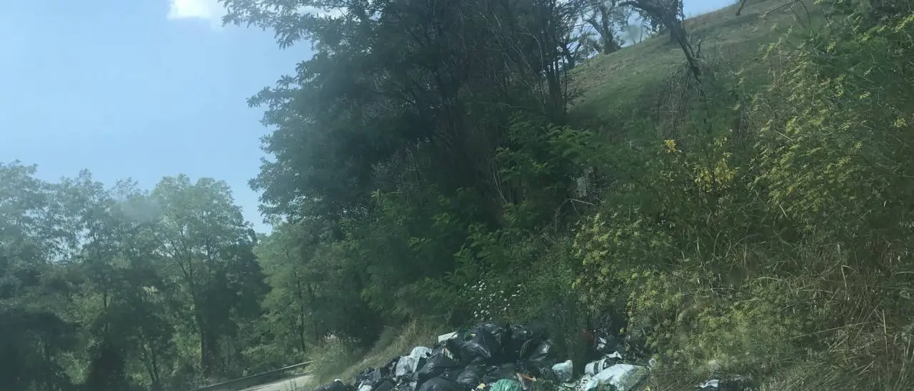 SS 19 delle Calabrie invasa da immondizia