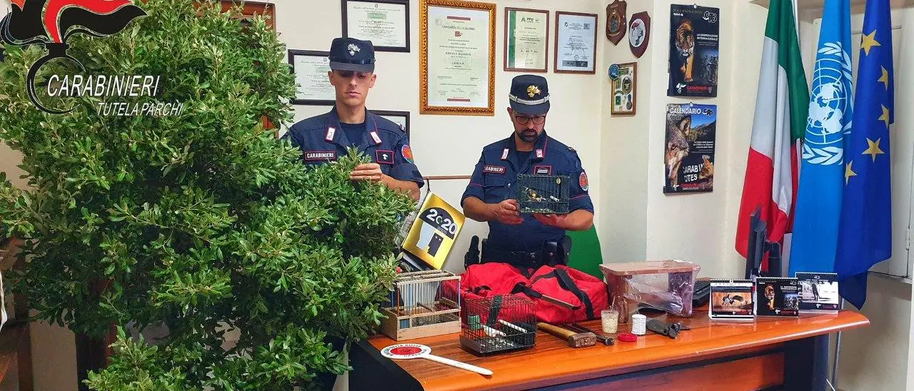 Denuncia per uccellagione a Morano Calabro