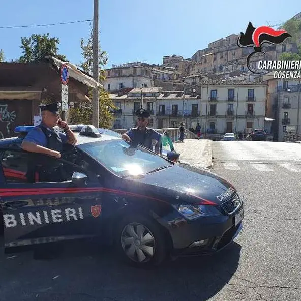 Marano Marchesato, 40enne tenta furto e aggredisce i carabinieri: arrestato