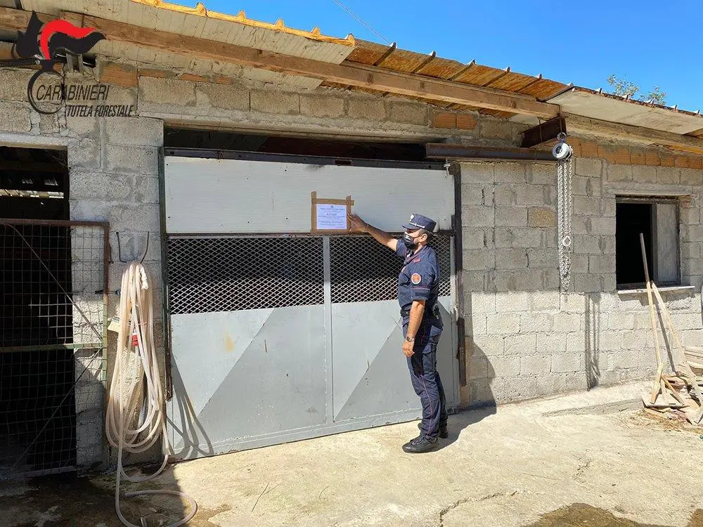 Montalto Uffugo, posti sotto sequestro due fabbricati abusivi