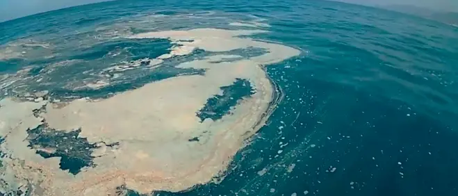 Salviamo il Tirreno dalla sporcizia, online una petizione. L'appello di Brunori