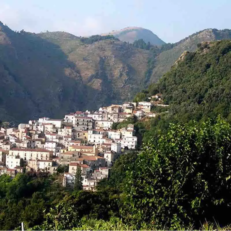 Buonvicino, fanghi di depurazione smaltiti in terreni privati