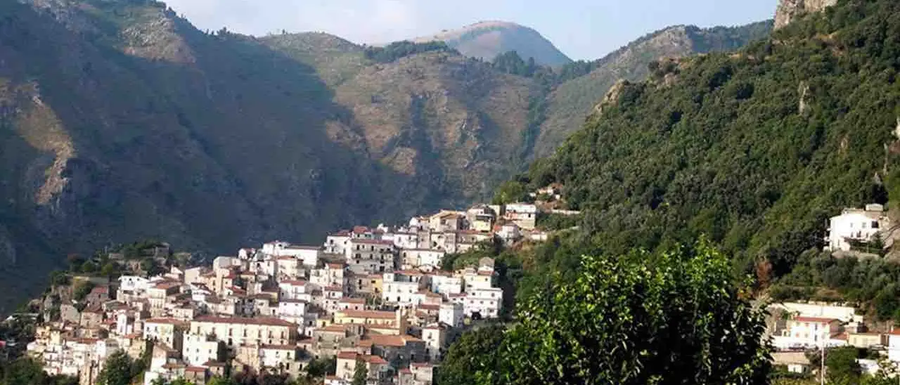 Buonvicino, fanghi di depurazione smaltiti in terreni privati