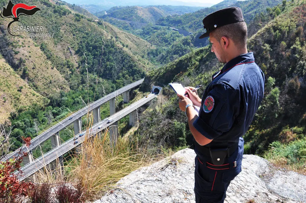 Cosenza, incendio boschivo causato da lavori sull’Autostrada: due persone denunciate