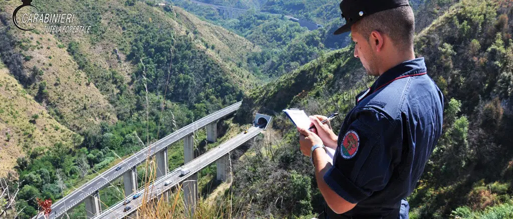 Cosenza, incendio boschivo causato da lavori sull’Autostrada: due persone denunciate