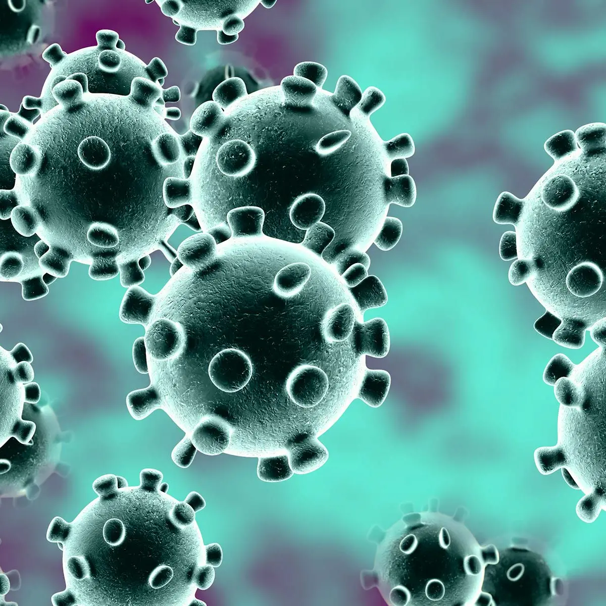 Vaccarizzo Albanese, salgono a quattro i casi di coronavirus